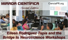 Mirada Cientifica Podcast - Bridge to Neuroscience Workshops